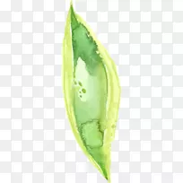 ��ɫˮ�ʻ�.����ͼ��-������