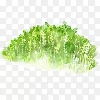 鲜绿草-空若网 鲜绿草-空若网