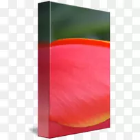 ���γ�������-������