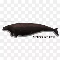 ���ຣ��-������