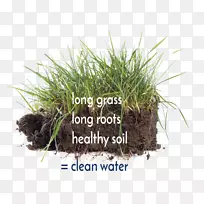 ¸ù²Ý-¿ÕÈôÍø ¸ù²Ý-¿ÕÈôÍø