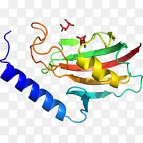 线点生物剪贴画线-空若网 线点生物剪贴画线-空若网
