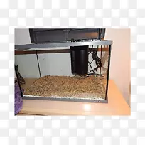 性能地板-DAS水族馆-空若网 性能地板-DAS水族馆-空若网