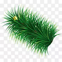 手绘绿草星-空若网 手绘绿草星-空若网