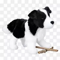 边境牧羊犬繁育毛绒牧羊犬澳大利亚牧羊犬-小狗-空若网 边境牧羊犬繁育毛绒牧羊犬澳大利亚牧羊犬-小狗-空若网