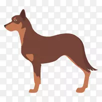 澳大利亚凯尔皮,中亚牧羊犬,高加索牧羊犬,设得兰牧羊犬,旧英国牧羊犬-澳大利亚-空若网 澳大利亚凯尔皮,中亚牧羊犬,高加索牧羊犬,设得兰牧羊犬,旧英国牧羊犬-澳大利亚-空若网