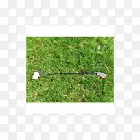 ��ƺ�ݵ��-������