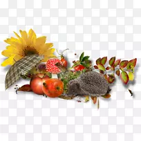 秋季卡通博客-秋季卡通鼠标-空若网 秋季卡通博客-秋季卡通鼠标-空若网