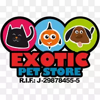 珍奇宠物店水族馆宠物店猫-空若网 珍奇宠物店水族馆宠物店猫-空若网