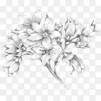 ������Ӱ��Զ������Ӱ����-��Ӱʦ-������