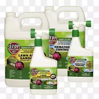 º¦³æ·ÀÖλ¨Ô°²Ýƺ»×³æ-À¥³æÔÚ»¨Ô°Àï-¿ÕÈôÍø º¦³æ·ÀÖλ¨Ô°²Ýƺ»×³æ-À¥³æÔÚ»¨Ô°Àï-¿ÕÈôÍø