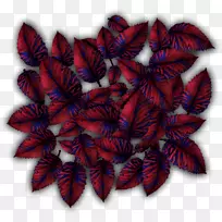 水彩画热带叶图案.热带叶-空若网 水彩画热带叶图案.热带叶-空若网