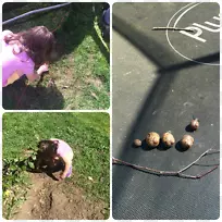 动物、土壤、鼻子-花园里的臭虫-空若网 动物、土壤、鼻子-花园里的臭虫-空若网