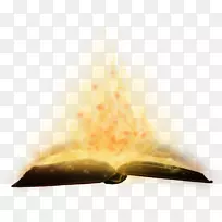 烧书-空若网 烧书-空若网