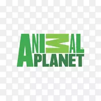 动物星球标志电视频道电视节目-行星快车-空若网 动物星球标志电视频道电视节目-行星快车-空若网
