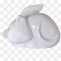 ��ٸ�;�-��˯è-������