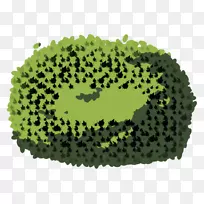 ���ʲʻ涯��-�滭����-������