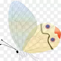 蝴蝶昆虫剪贴画.蝴蝶-空若网 蝴蝶昆虫剪贴画.蝴蝶-空若网