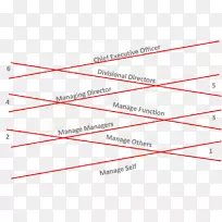 �ߵ��������-������