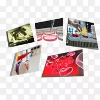 ��ǰ�����ѧ��Ʒ�е�����-��ѧר��ְҵָ������Ʒ��-������