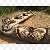 野生动物陆生动物-动物-空若网 野生动物陆生动物-动物-空若网