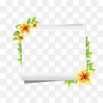 纸张-空若网 纸张-空若网