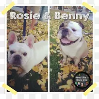 玩具斗牛犬法国山谷斗牛犬澳大利亚斗牛犬英国斗牛犬爱上阅读-空若网 玩具斗牛犬法国山谷斗牛犬澳大利亚斗牛犬英国斗牛犬爱上阅读-空若网