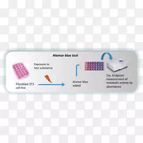 品牌服务技术多媒体.宣传册食品-空若网 品牌服务技术多媒体.宣传册食品-空若网