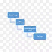 �����ѧ��ҵ��֯����-������