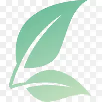 绿线角绿地毯-空若网 绿线角绿地毯-空若网