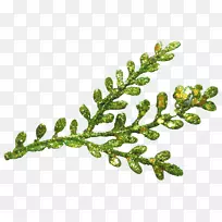 Ê÷֦Ư¸¡µÄÊ¥µ®Ê÷Ò¶×Ó-¿ÕÈôÍø Ê÷֦Ư¸¡µÄÊ¥µ®Ê÷Ò¶×Ó-¿ÕÈôÍø