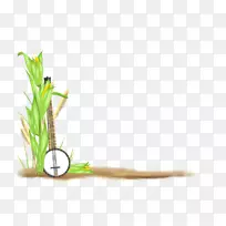 花卉博客植物茎页角-空若网 花卉博客植物茎页角-空若网