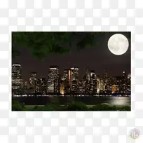 ���ǵ������ܵ�������ѷ��Ƶ-����-������