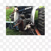 轮胎车轮-空若网 轮胎车轮-空若网