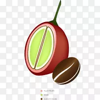 ���ȶ���ʲ������������ӣ�Ҳ迧��ˮ��-������