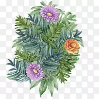 澳大利亚艺术文化时尚多元文化-空若网 澳大利亚艺术文化时尚多元文化-空若网