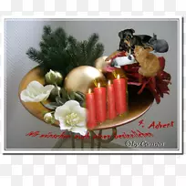 ʥ��װ��Ʒ�߲�ˮ��-�߲�-������