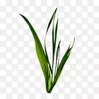 ÏÂÔØÊýÂëÓ°Ïñ¼ô¼ÒÕÊõ-¿ÕÈôÍø ÏÂÔØÊýÂëÓ°Ïñ¼ô¼ÒÕÊõ-¿ÕÈôÍø