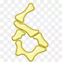 车身珠宝字体-珠宝-空若网 车身珠宝字体-珠宝-空若网