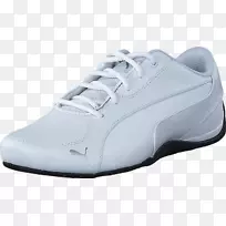 运动鞋,t恤鞋,美洲狮,阿迪达斯,美洲狮,猫-空若网 运动鞋,t恤鞋,美洲狮,阿迪达斯,美洲狮,猫-空若网