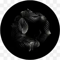 白色图案-爱国者-空若网 白色图案-爱国者-空若网