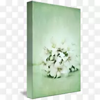 花卉设计切花花束绿薄荷-空若网 花卉设计切花花束绿薄荷-空若网