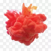 橙色水印-空若网 橙色水印-空若网