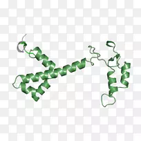 绿色珠宝首饰-空若网 绿色珠宝首饰-空若网