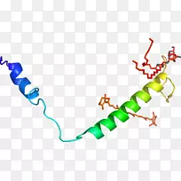 �ߵ������-��-������