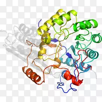 �ߵ������������-������