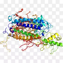 ���������鱦�л�����������鱦����-������