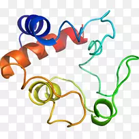 人体珠宝剪贴画.珠宝-空若网 人体珠宝剪贴画.珠宝-空若网