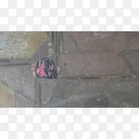 ľ��/��/083 vt-����-������