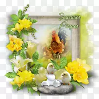 ����������ֽ����-������